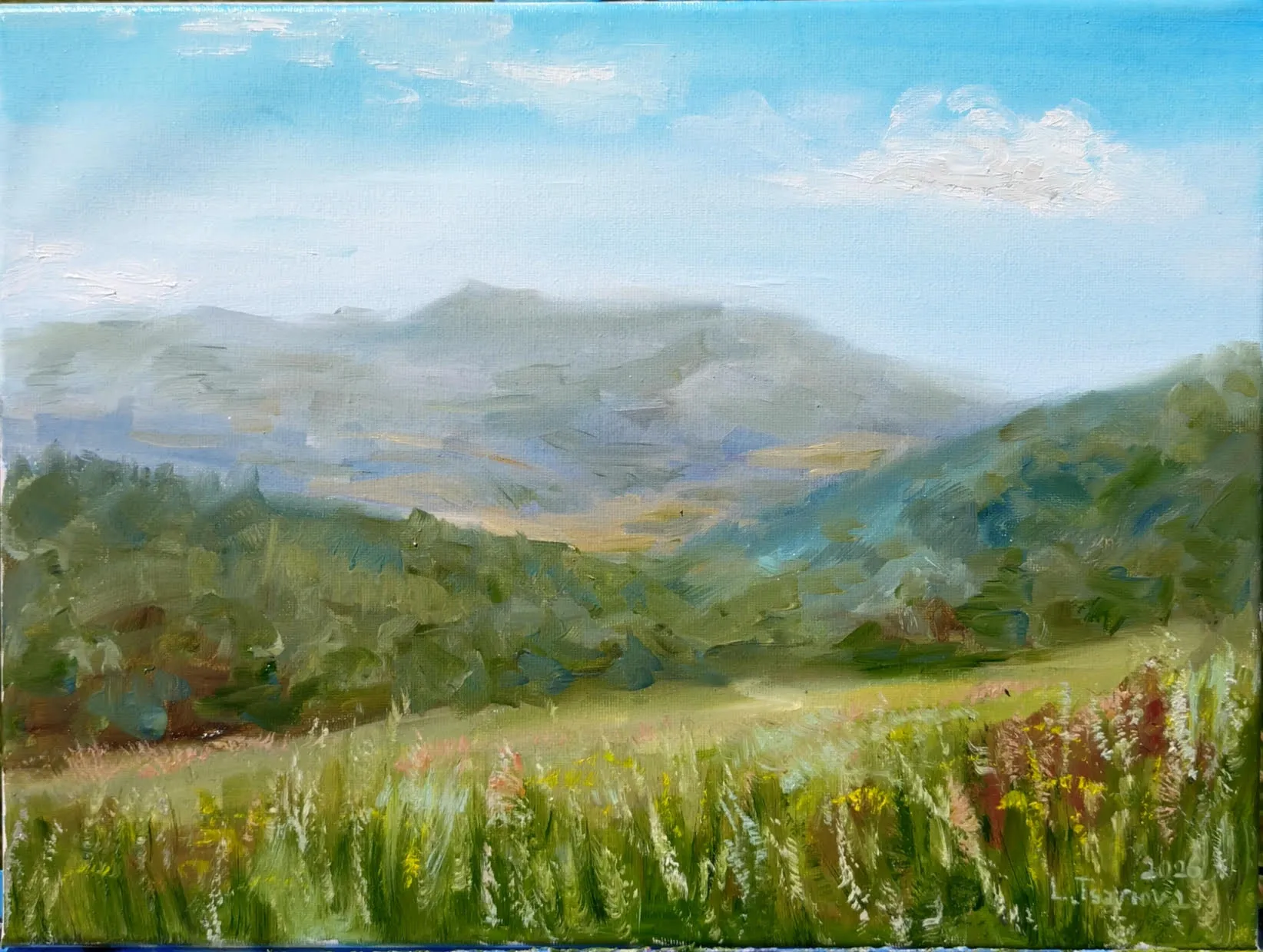 meadow